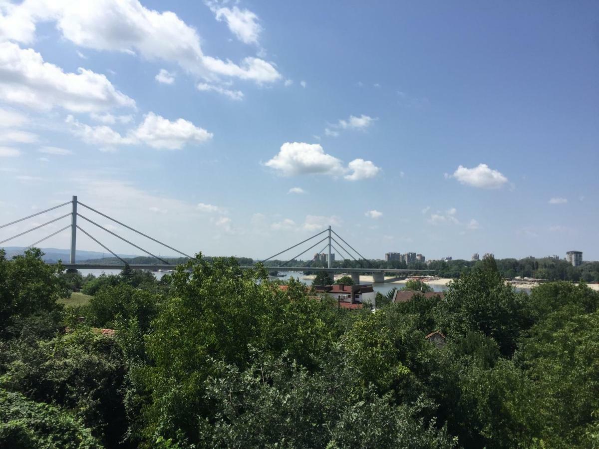 Apartmán Pergola House In A Green Oasis With Fantastic View Petrovaradin Exteriér fotografie