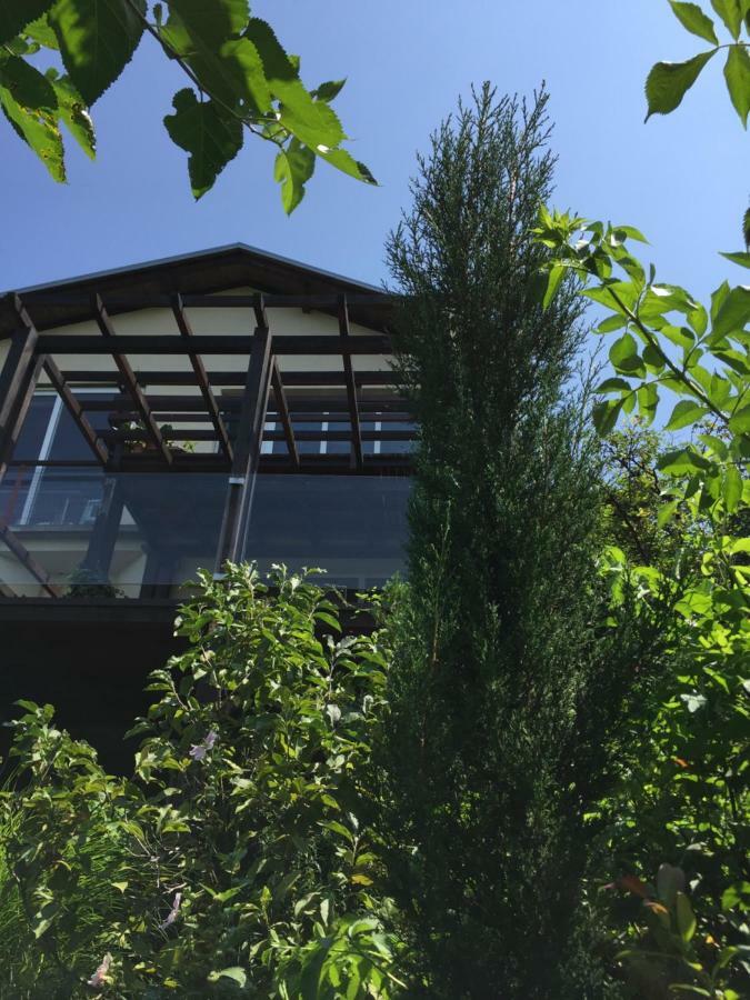Apartmán Pergola House In A Green Oasis With Fantastic View Petrovaradin Exteriér fotografie